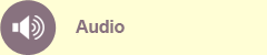 Audio